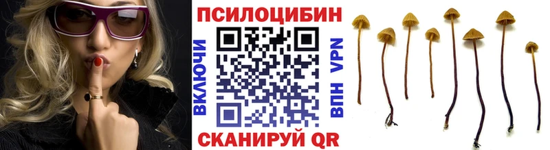Галлюциногенные грибы прущие грибы  Купить  Рошаль 
